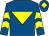 Royal blue, yellow inverted triangle, yellow chevrons on sleeves, yellow diamond on cap (Glebeland Farm Partnership)