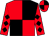 Red and black (quartered), diamonds on sleeves (Mrs Wendy Wesley)