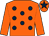 Orange, dark blue spots, orange sleeves, orange cap, dark blue star (Radlett Racing And Richard Farleigh)