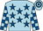 Light blue, royal blue stars, checked sleeves, hooped cap (Mr M Slingsby)