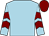 Light blue, maroon chevrons on sleeves, maroon cap (The Nigel Jones & Roy Ovel Syndicate)