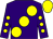 Purple, large yellow spots, purple sleeves, yellow spots and cap (Mr T J C Seegar)