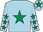 Light blue, emerald green star, light blue sleeves, emerald green stars, light blue cap, emerald green star (Wacky Racers Limited)
