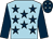 Light blue, dark blue stars and sleeves, dark blue cap, light blue stars (D J Stevens & K Woollacott)
