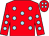 Red, light blue spots (Starting Gate Racing)