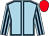 Light blue, dark blue seams, striped sleeves, red cap (Yeo Racing Partnership)