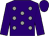 Purple, grey spots, purple sleeves and cap (Mulligans Racing Club)