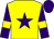 Yellow, purple star, purple sleeves, yellow armlets, purple cap (Mr Will Roseff)