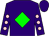 Purple, green diamond, pink ball 'cs' on back, pink dots on sleeves (Bockmon, Danny, The Ravens Rock Farm, Llc And Currey, Stephen)