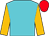 Peacock blue, old gold sleeves, red cap (Wathnan Racing)