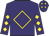 Purple, gold diamond frame, gold diamonds on sleeves, gold diamonds on purple cap