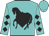 Turquoise, black horse,black diamond, black diamonds on sleeves, turquoise cap