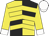 Yellow and black quarters, yellow chevrons, white cuffs on sleeves, white cap