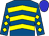 Royal blue, yellow chevrons, yellow diamonds on sleeves, blue cap, yellow spot