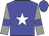 Blue, white star, blue bars on grey sleeves, blue cap