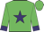 Lime green, purple star, purple cuffs