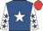Royal blue, white star, white sleeves, royal blue stars, red cap (Winning Chance Syndicate)