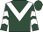 Dark green, white chevron, chevrons on sleeves