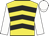 Yellow, black chevrons, white sleeves and cap