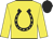 Yellow, black horseshoe, black horseshoe on sleeves, black cap