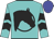 Turquoise, black circle and horses head, turquoise sleeves, black chevrons, blue cap