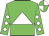 Green, white triangle, white diamonds on sleeves, green and white quartered cap, green visor