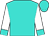 Turquoise, turquoise cuffs on white sleeves