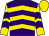Purple, gold chevrons, purple chevrons on gold sleeves, gold cap