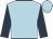 Light blue, dark blue sleeves