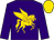 Purple, gold pegasus, gold ball on purple sleeves, gold cap