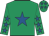 Emerald green, royal blue star, royal blue stars on sleeves, emerald green cap, royal blue stars