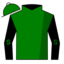 Green, Black 'BIG G', Green 'S' on Black Sleeves