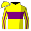 Yellow, Purple Band and Stripe on Sleeves