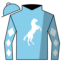 Sky Blue, White Horse and Rider Emblem, White Diamonds on Sleeves