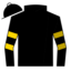Black, Gold Horse Head "GF", Gold bars on Sleeves