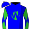 Blue, Blue "W" on Lime Green Horsehead, Blue and Lime Green Diagonal Quartered Sleeves
