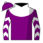 Purple, White Yoke, Red 'RJB,' Purple Sleeves, White Chevrons, Purple Cap, White Visor