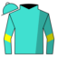 Turquoise, Yellow and Brown Bullseye, Yellow Hoop on Sleeves