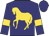 Navy, gold horse, gold bars on sleeves, navy cap