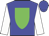 Blue, green shield, white sleeves, blue cap