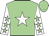 Light green, white star, white sleeves, light green stars, light green cap