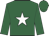 Kelly green, white star, white band on sleeves