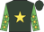 Hunter green, gold star, gold stars on lime green sleeves