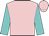 Pink, black horseshoe and 'p',  horseshoes on turquoise sleeves