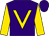 Purple, gold 'v', gold sleeves