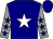 Navy blue, white star, navy blue stars on grey sleeves