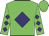 Green, purple diamond, purple diamonds on sleeves