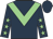 dark blue body, light green chevron, dark blue sleeves, light green stars, dark blue cap