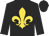 Black, gold fleur-de-lys, black cap