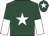 Dark green, white star, halved sleeves and star on cap